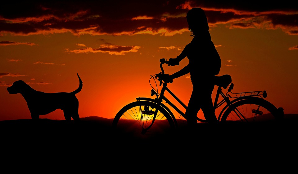 犬と自転車の女性の写真
